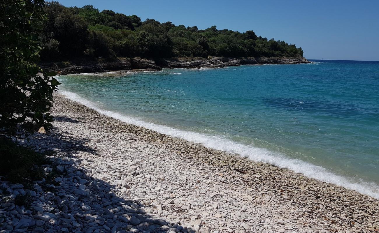 Polje beach'in fotoğrafı taşlar yüzey ile