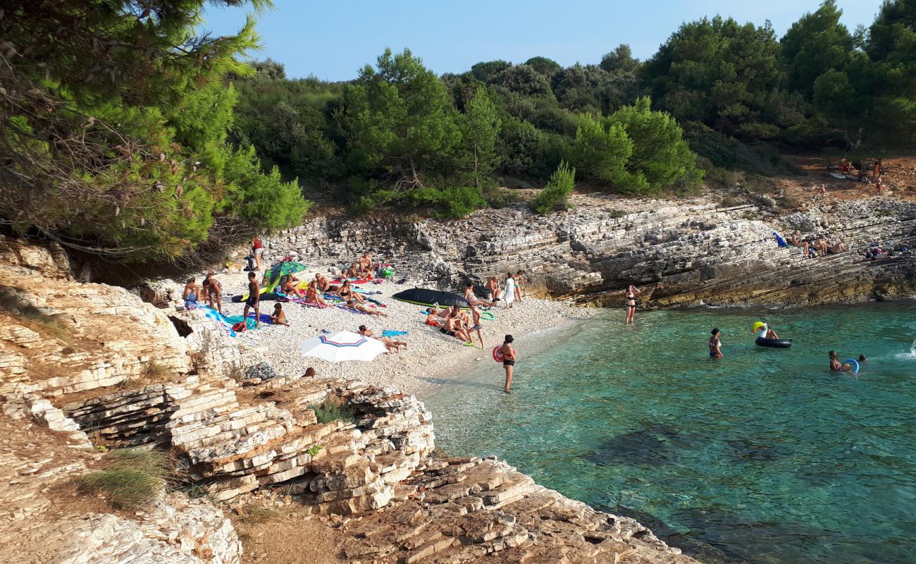 Plovanije beach'in fotoğrafı hafif çakıl yüzey ile