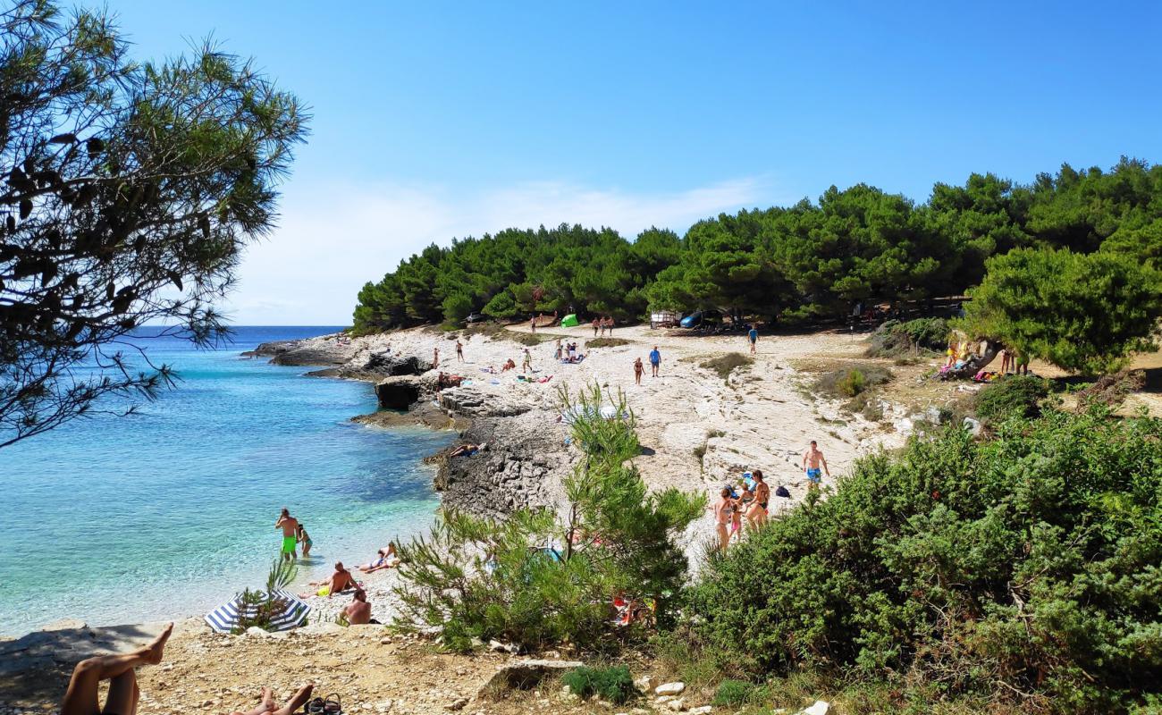 Njive beach'in fotoğrafı hafif çakıl yüzey ile