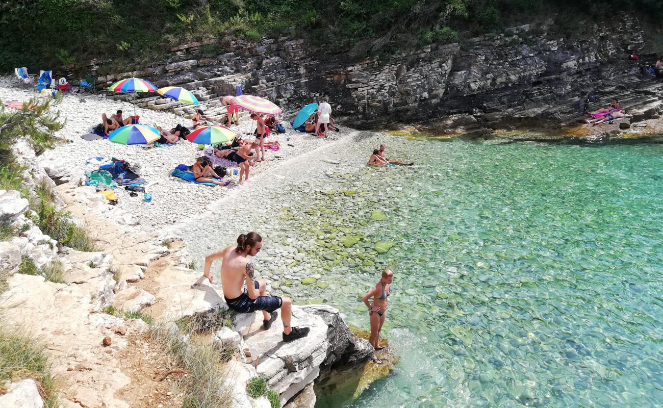 Radovica beach'in fotoğrafı bej kum ve çakıl yüzey ile