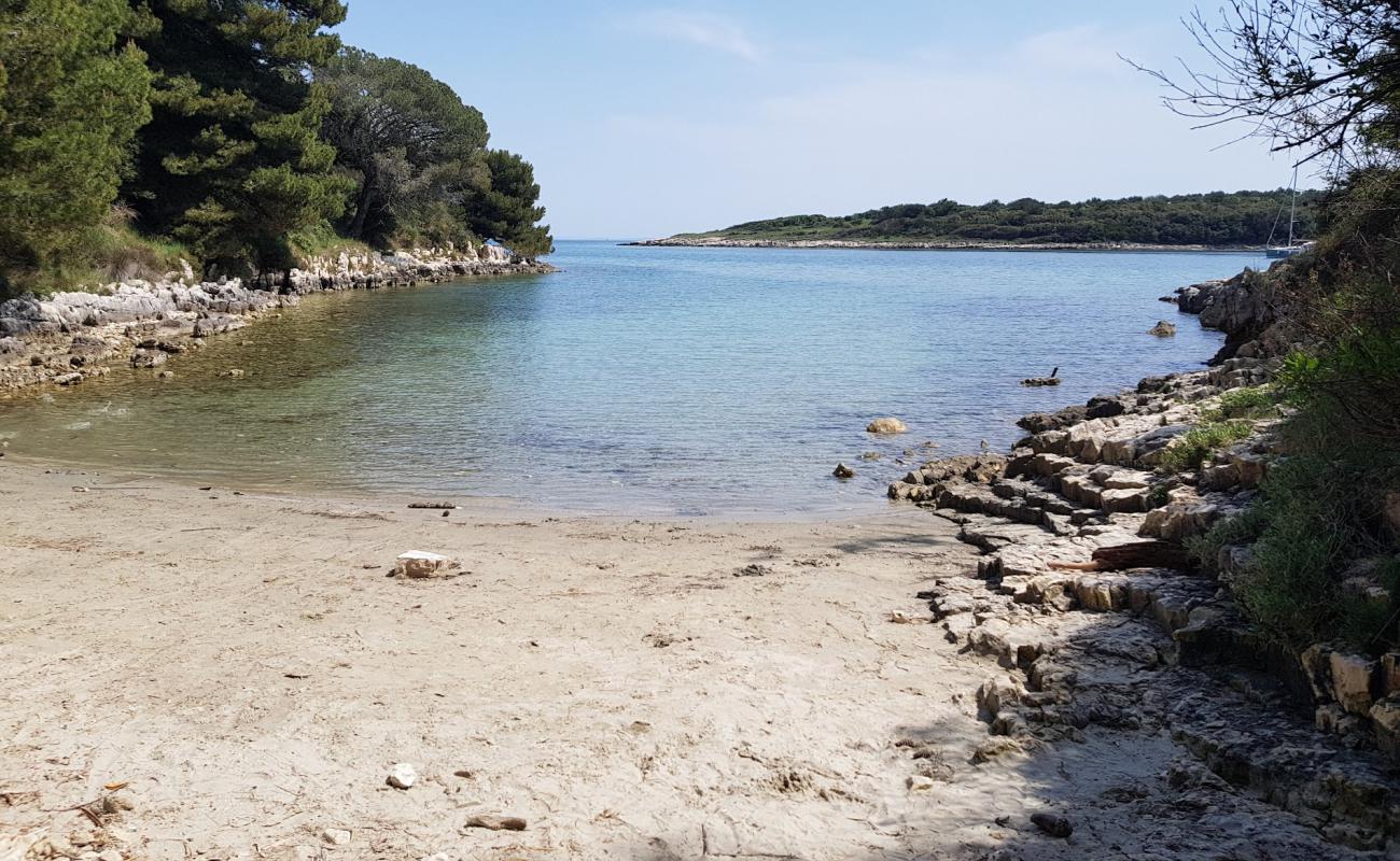 Mali Portic beach'in fotoğrafı hafif çakıl yüzey ile