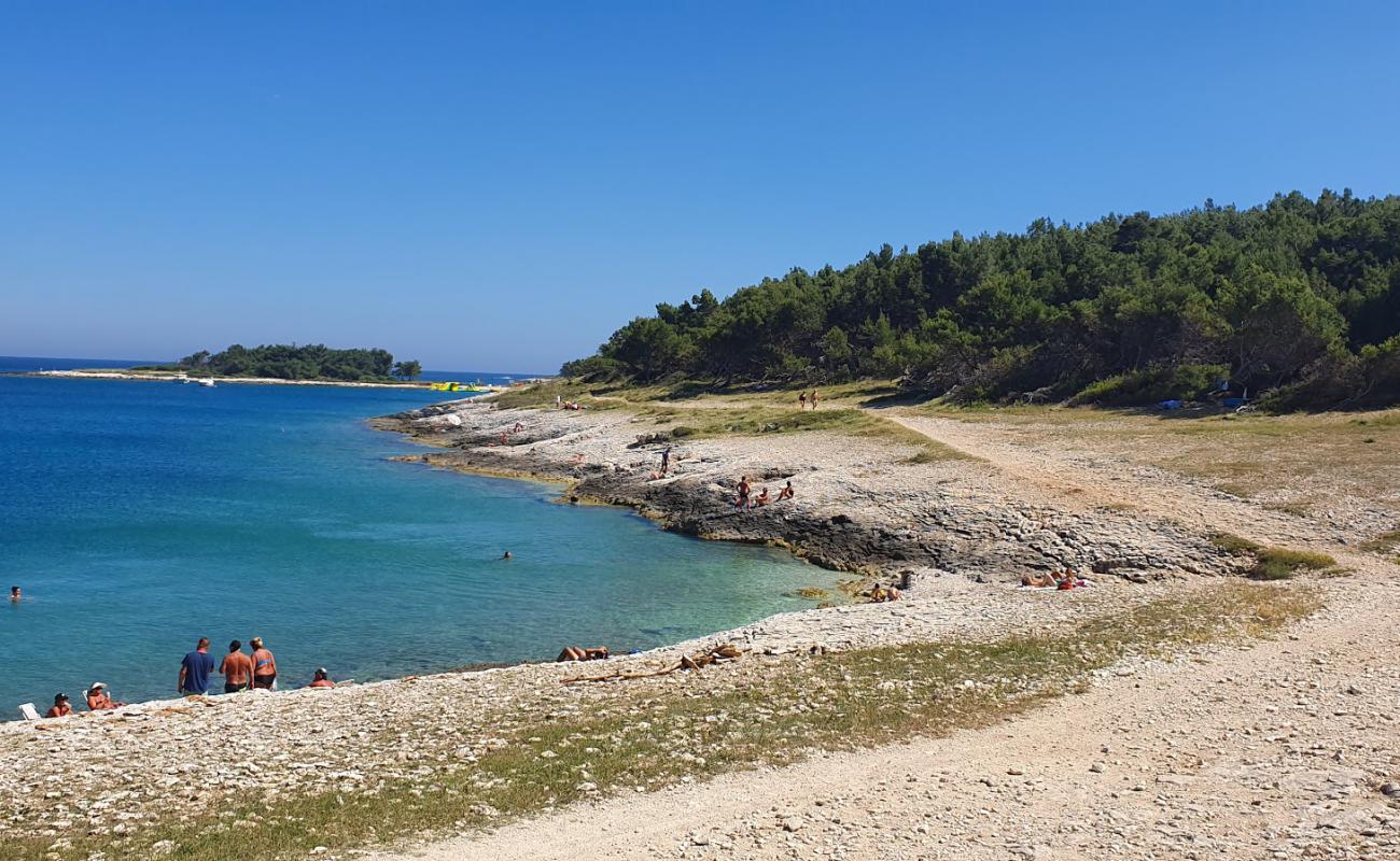 Drazice beach'in fotoğrafı hafif çakıl yüzey ile