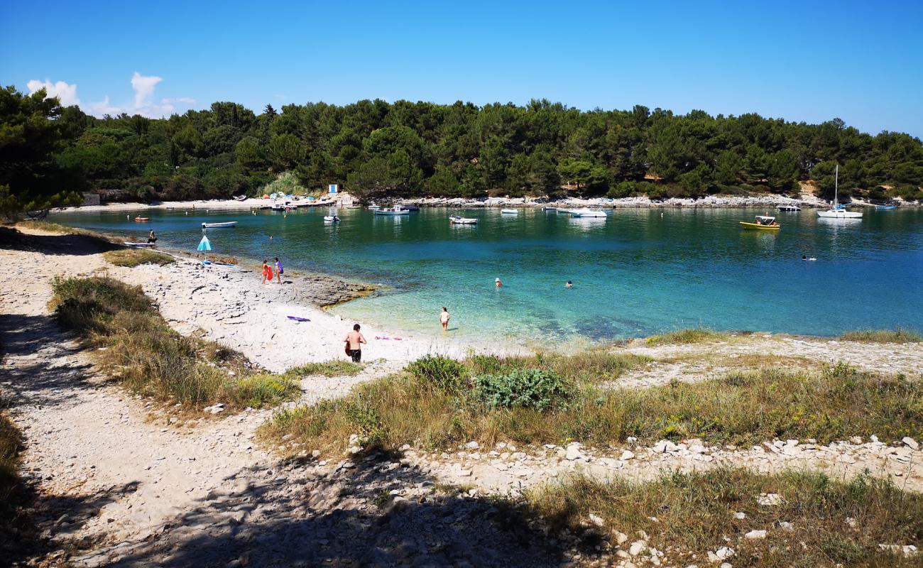 Lokva beach'in fotoğrafı hafif çakıl yüzey ile