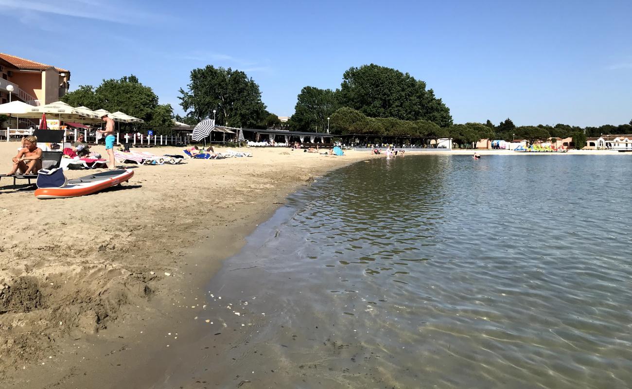 Bijeca beach'in fotoğrafı bej kum ve çakıl yüzey ile