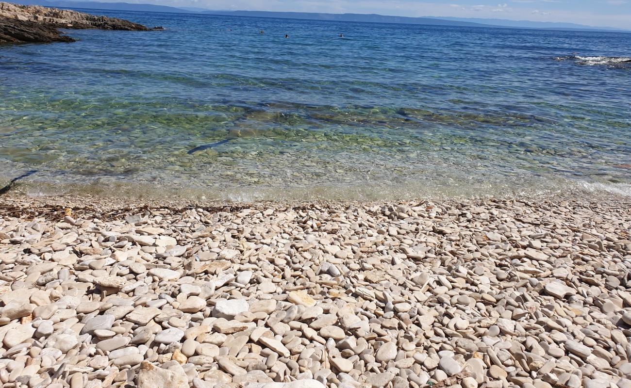 Vela Draga beach'in fotoğrafı bej kum ve kayalar yüzey ile