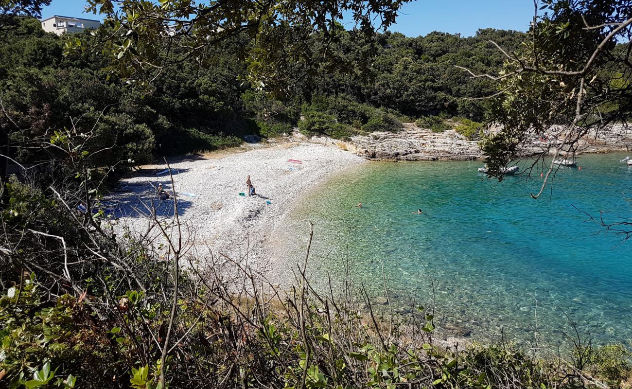 Skrila beach'in fotoğrafı hafif çakıl yüzey ile