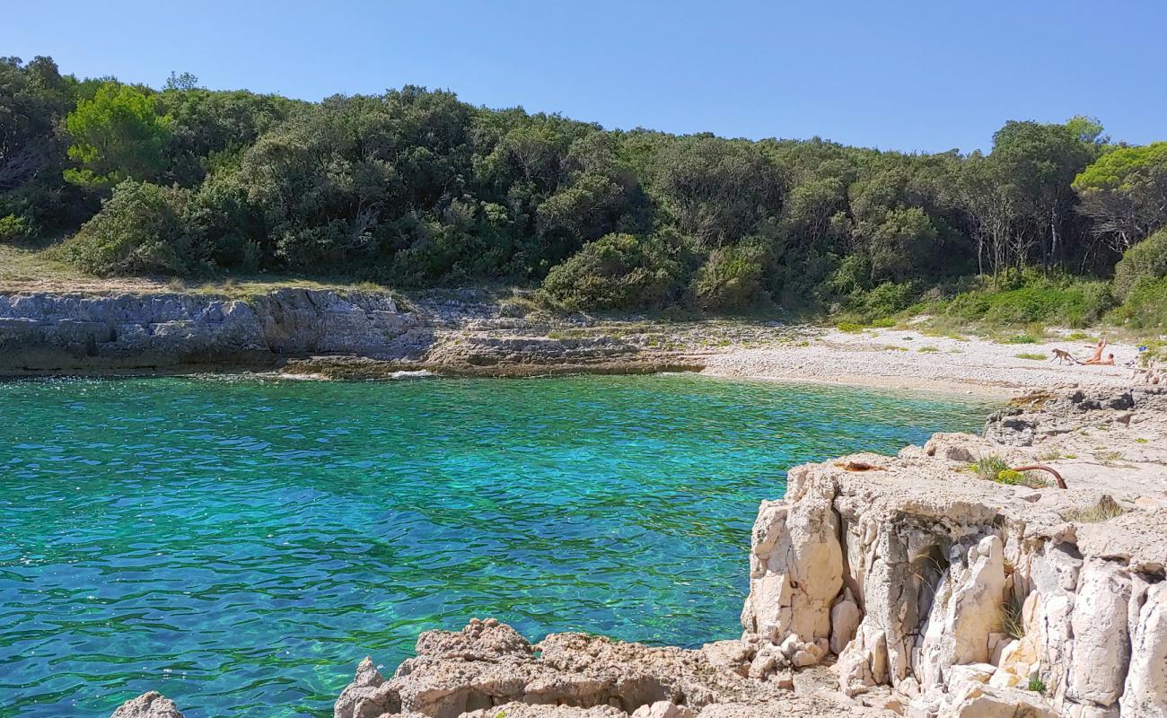 Zaglenicina beach'in fotoğrafı hafif çakıl yüzey ile