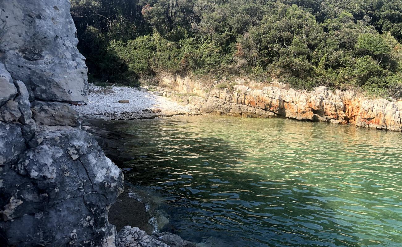 Jarovica beach'in fotoğrafı hafif çakıl yüzey ile