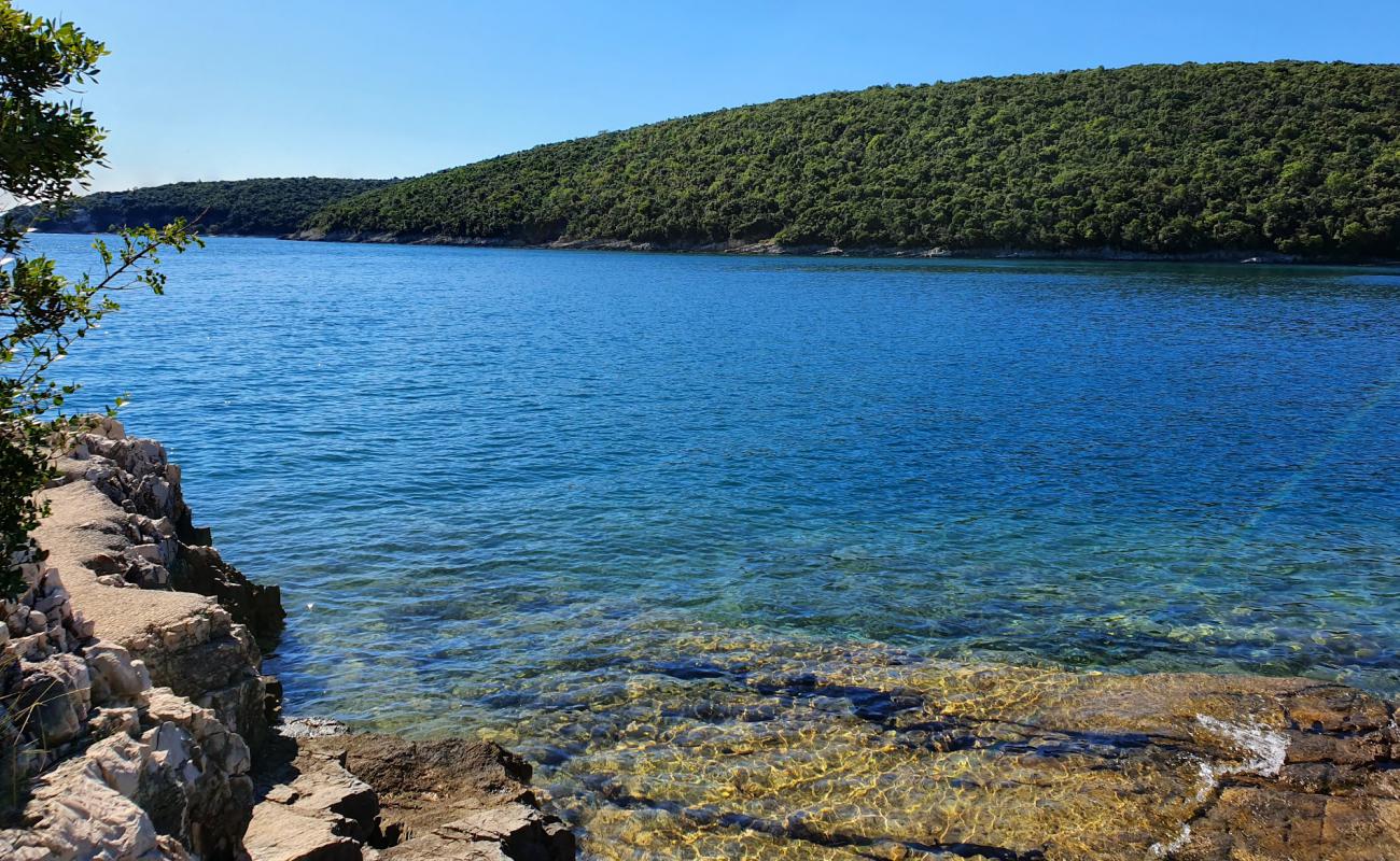 Wild beach'in fotoğrafı kayalık arazi yüzey ile