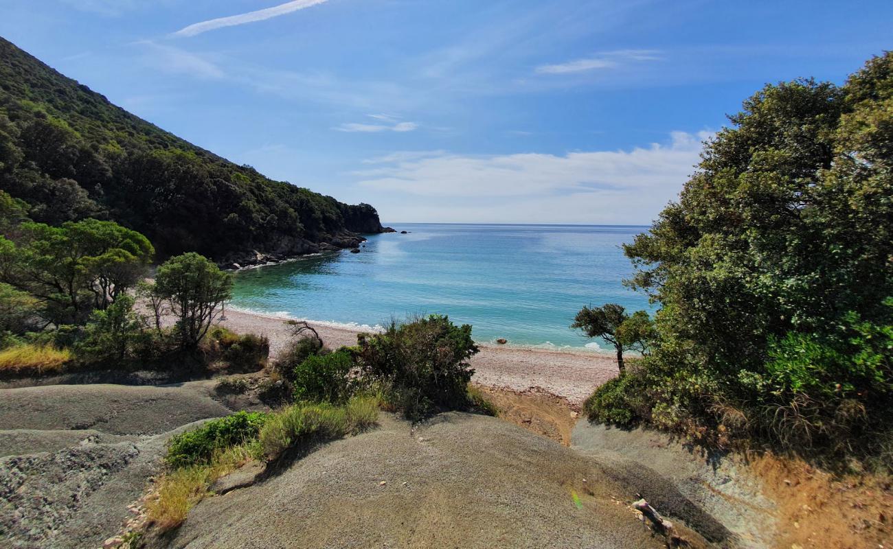 Koromacno beach II'in fotoğrafı hafif çakıl yüzey ile