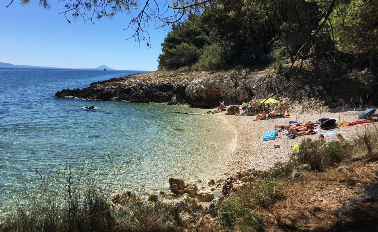 Kiefernbucht'in fotoğrafı hafif çakıl yüzey ile