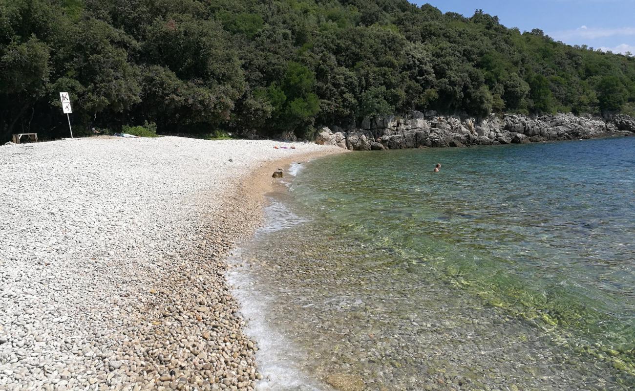 Bobina beach'in fotoğrafı hafif çakıl yüzey ile