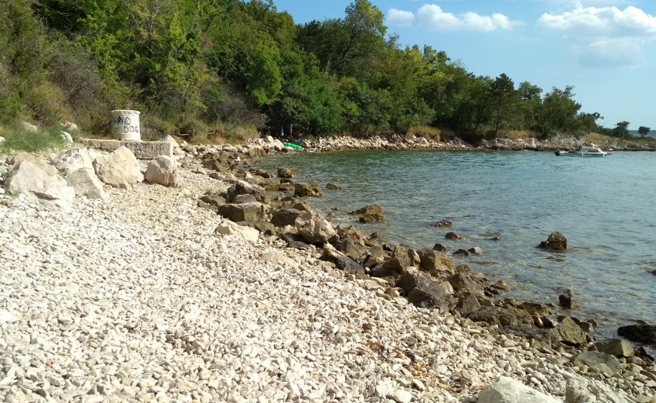 Trstena beach'in fotoğrafı taşlar yüzey ile