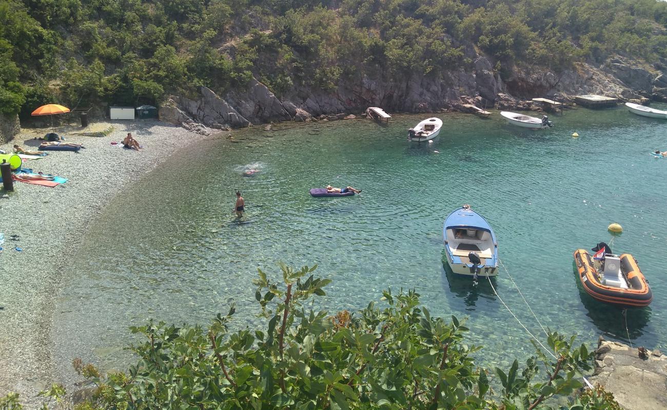 Jelena'in fotoğrafı gri çakıl taşı yüzey ile