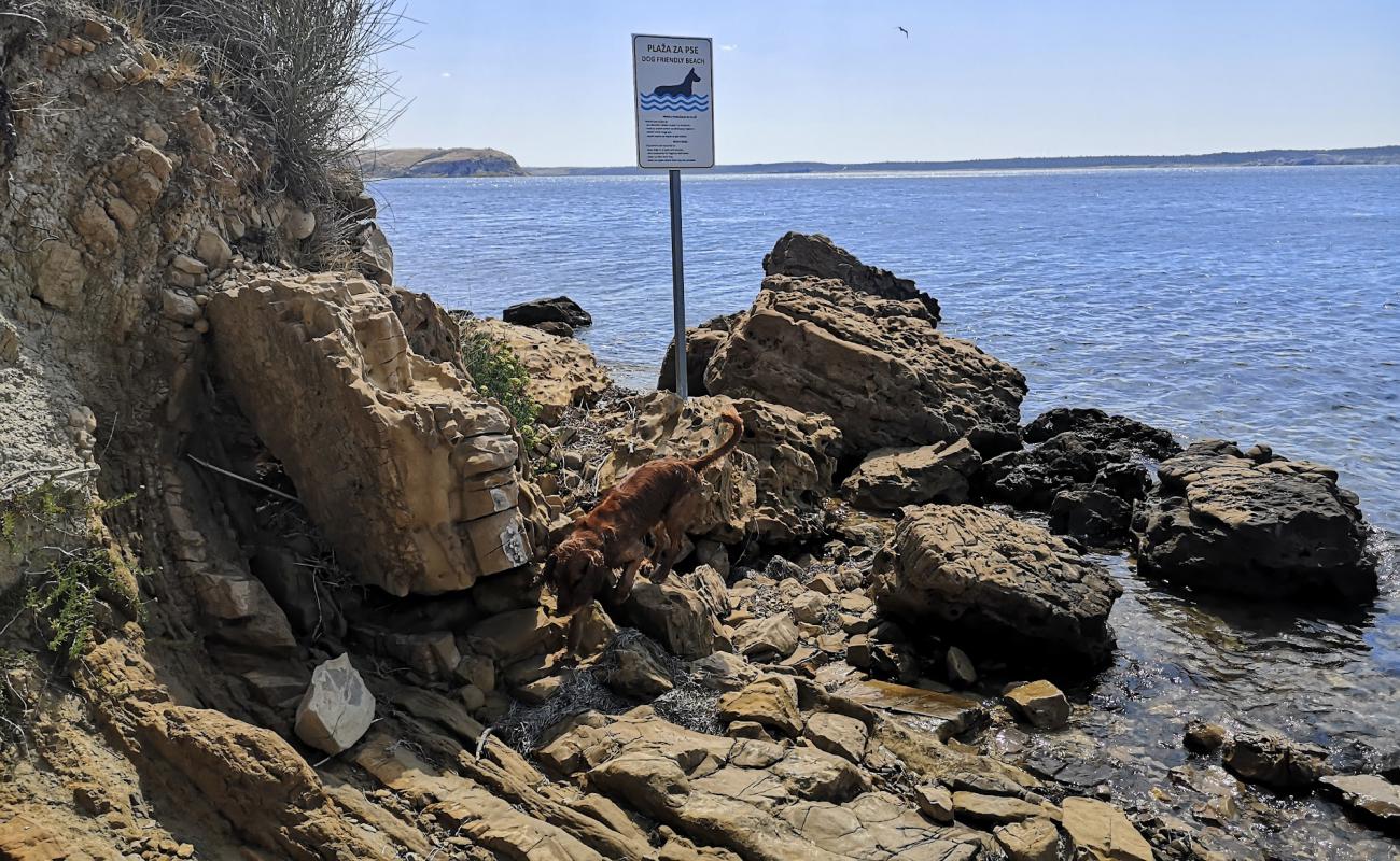 Dogs beach'in fotoğrafı kayalık arazi yüzey ile
