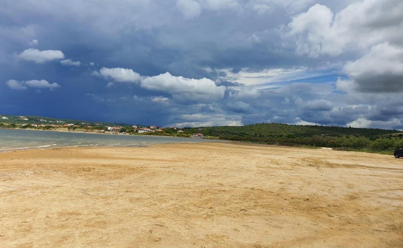 Marina Ljubacki'in fotoğrafı kahverengi kum yüzey ile