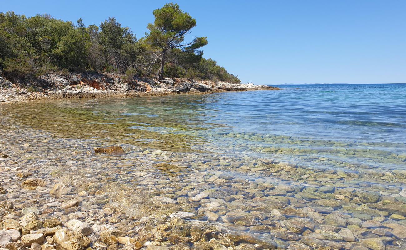 Punta Skala beach'in fotoğrafı gri çakıl taşı yüzey ile