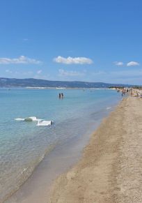 Omis