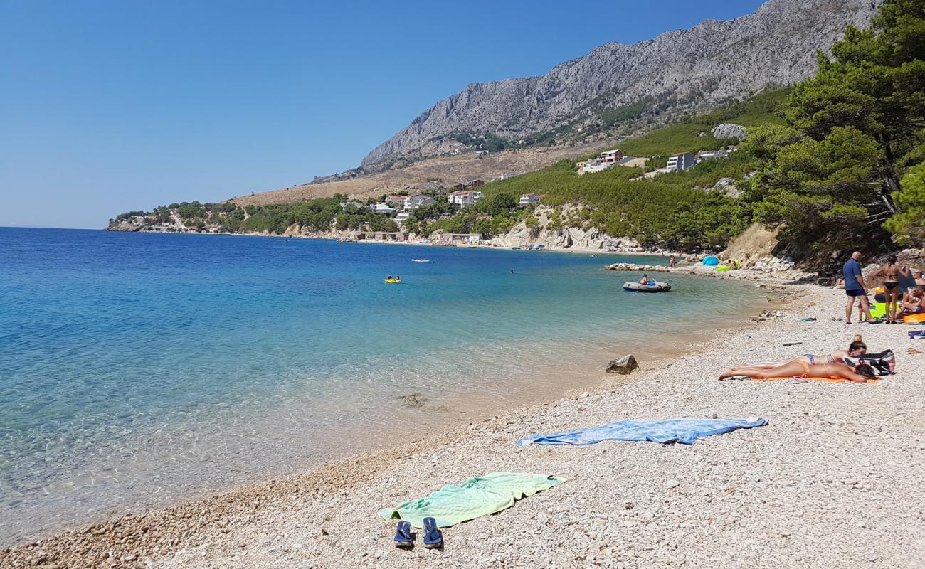 Zicova Riva beach'in fotoğrafı bej çakıl yüzey ile