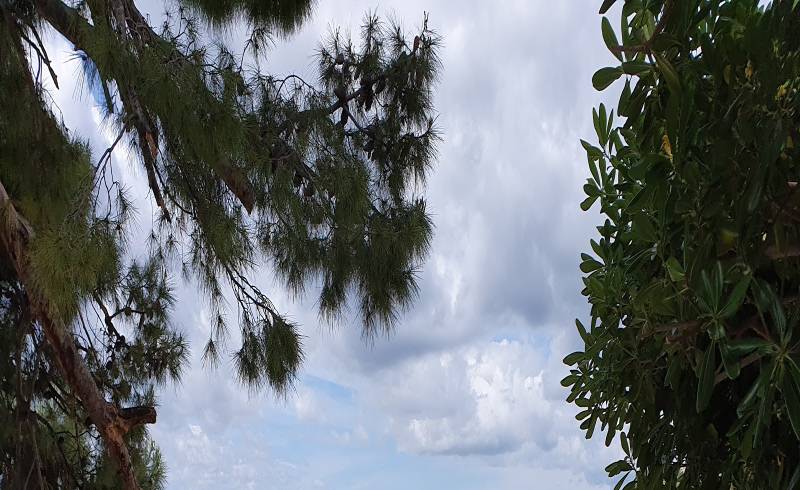 Zicova Riva beach II'in fotoğrafı bej çakıl yüzey ile