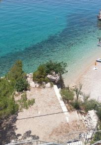 Marusici