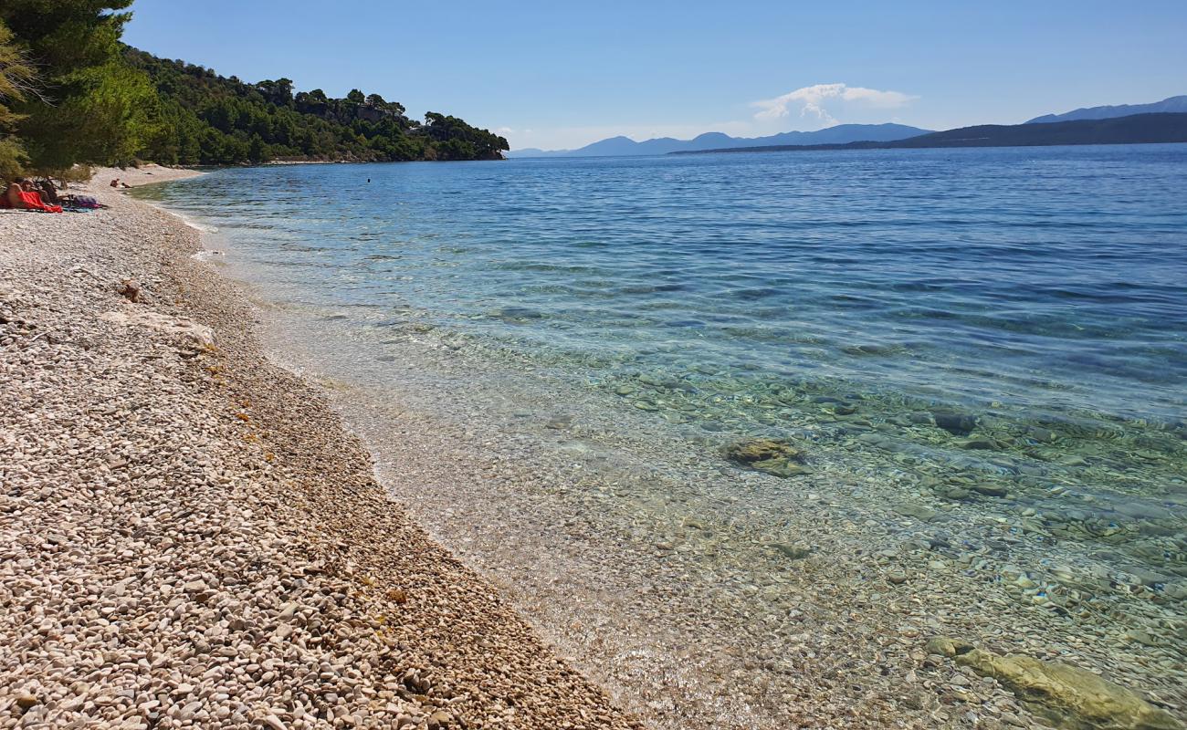 Djevicanska beach'in fotoğrafı çakıl ile kum yüzey ile