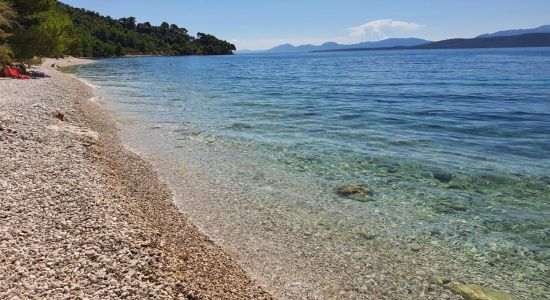 Djevicanska beach