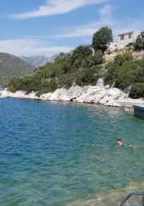 Ploce