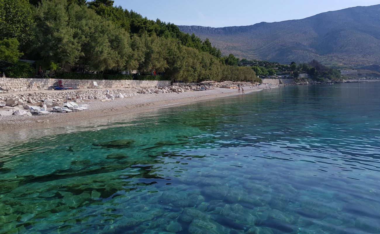 Trstenica II beach'in fotoğrafı gri ince çakıl taş yüzey ile