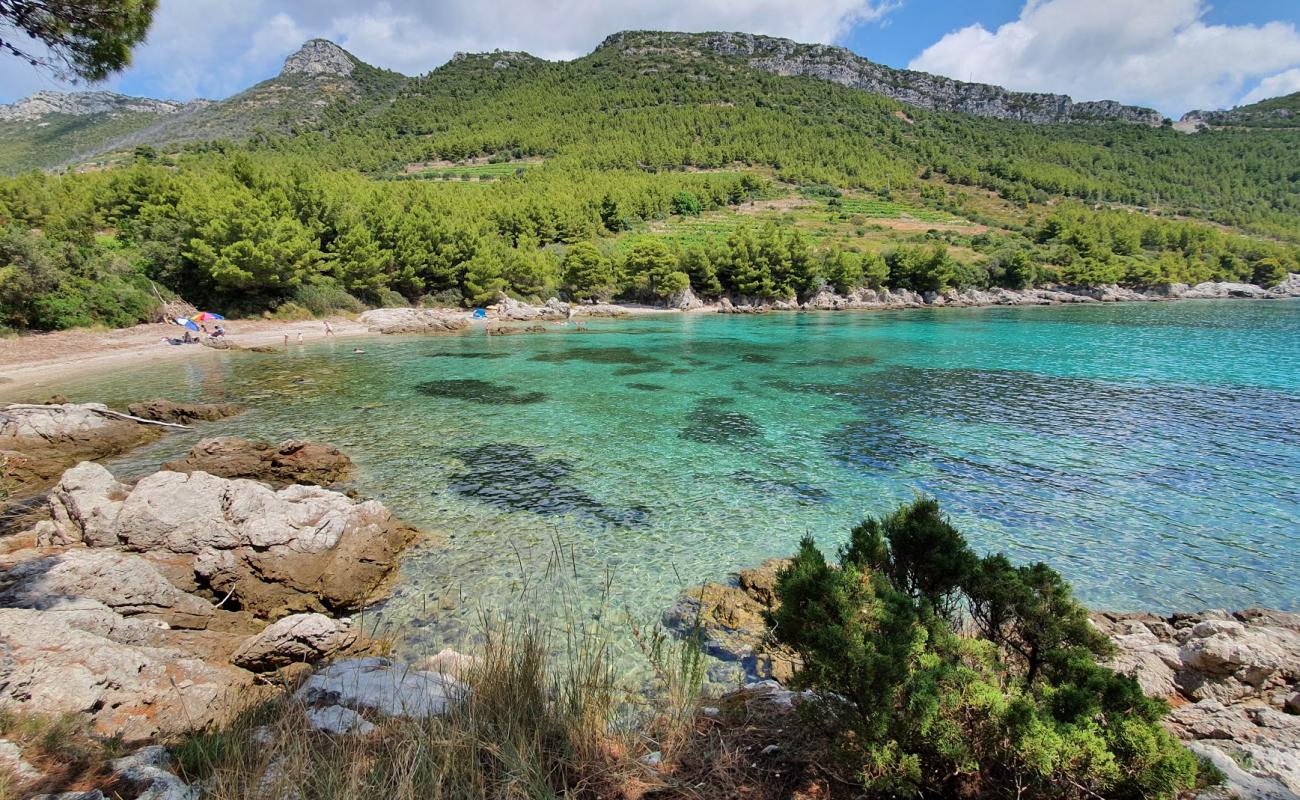 Zaglavak beach'in fotoğrafı hafif çakıl yüzey ile