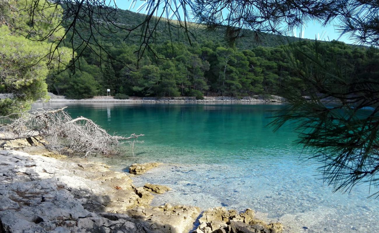 Krivica beach'in fotoğrafı kayalık arazi yüzey ile