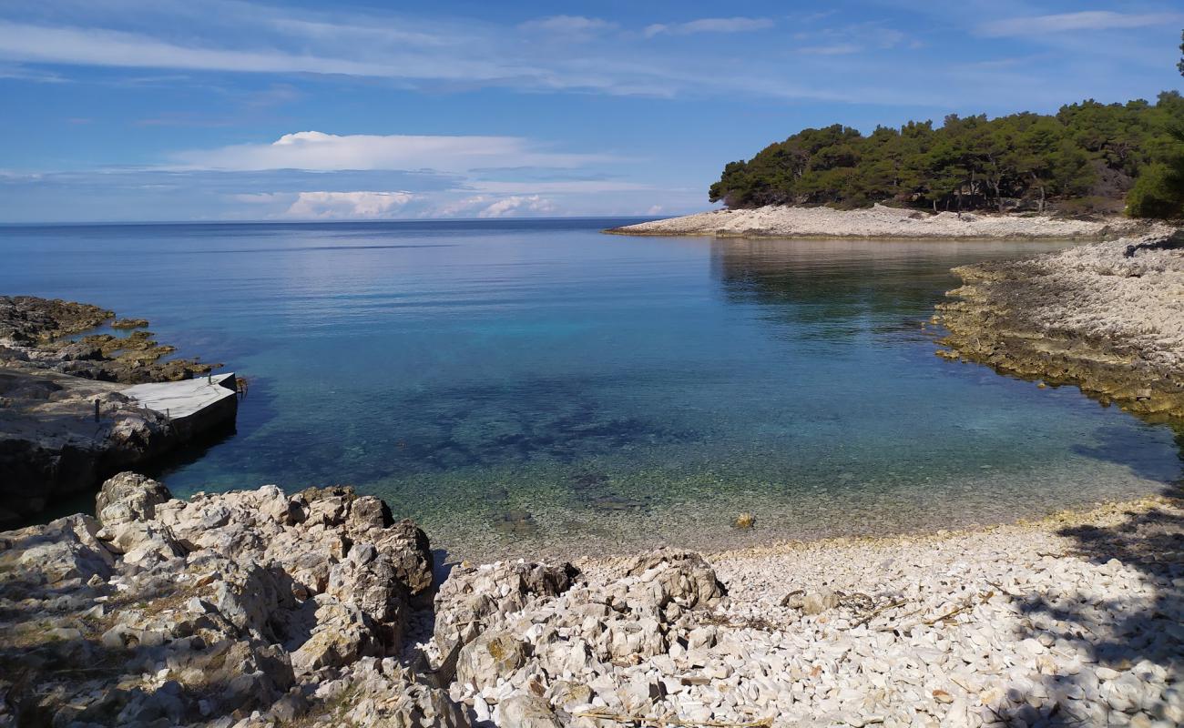 Plaza Porta Sesula'in fotoğrafı taşlar yüzey ile