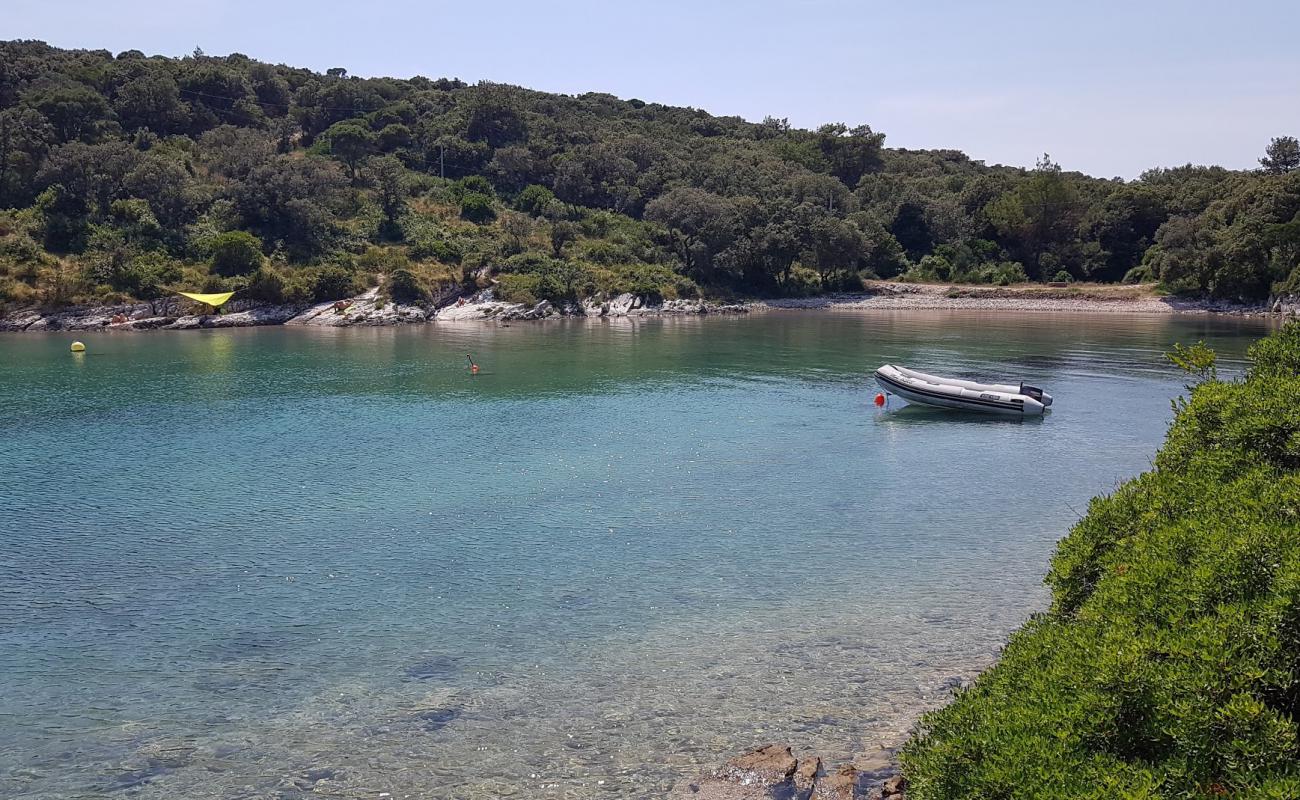 Plaza Ruzmarinka'in fotoğrafı bej çakıl yüzey ile
