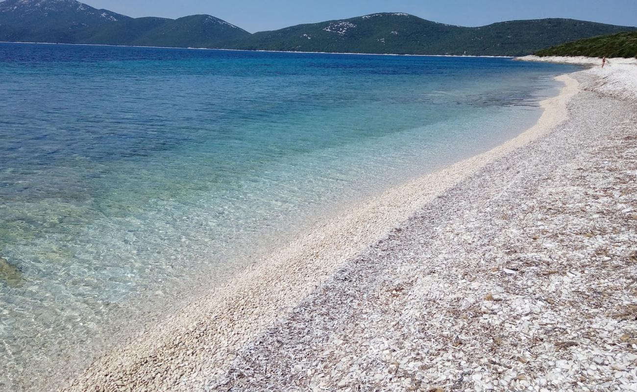 Plaza Bijela'in fotoğrafı beyaz kum ve çakıllar yüzey ile