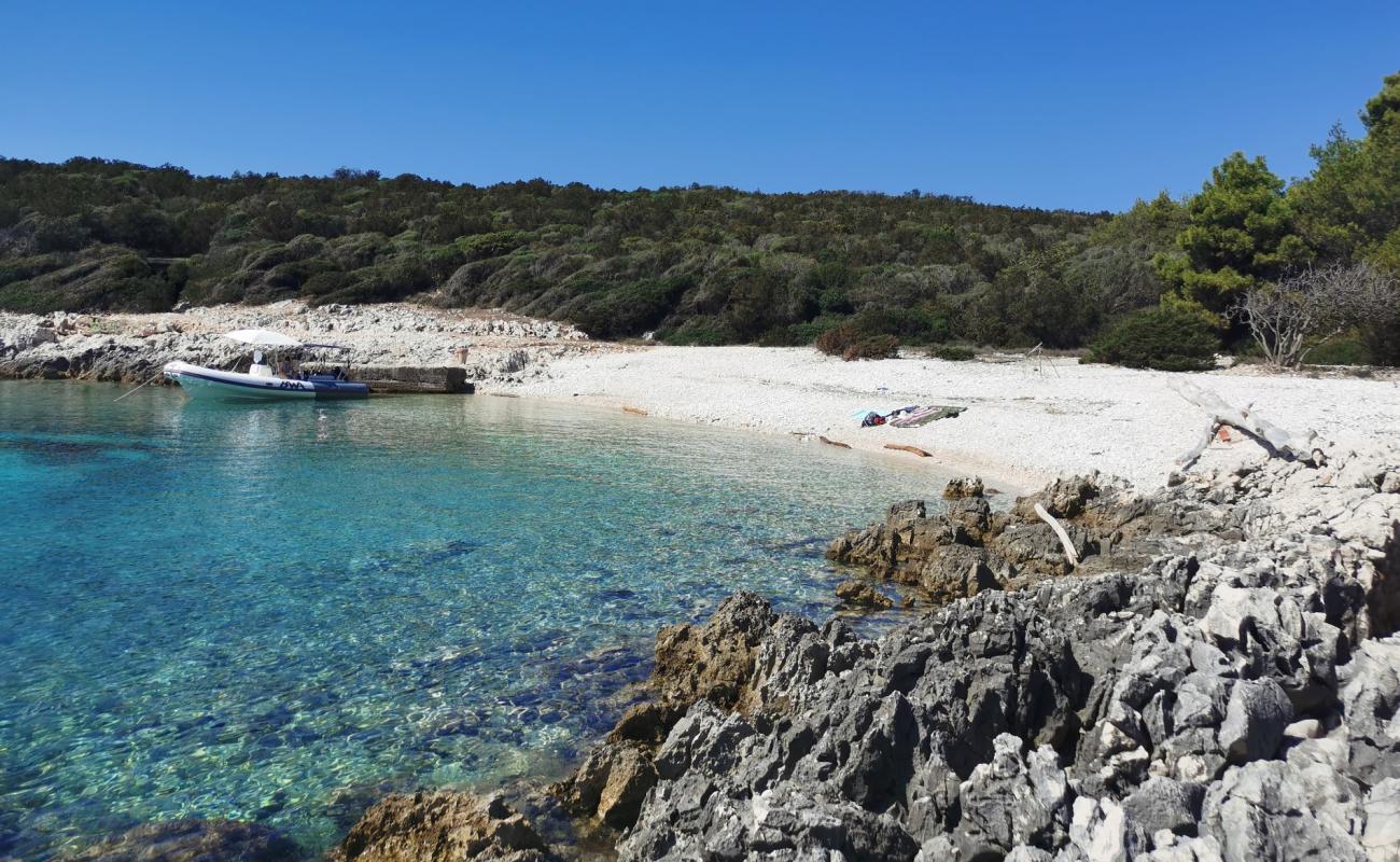 Parknu beach'in fotoğrafı beyaz çakıl taş yüzey ile