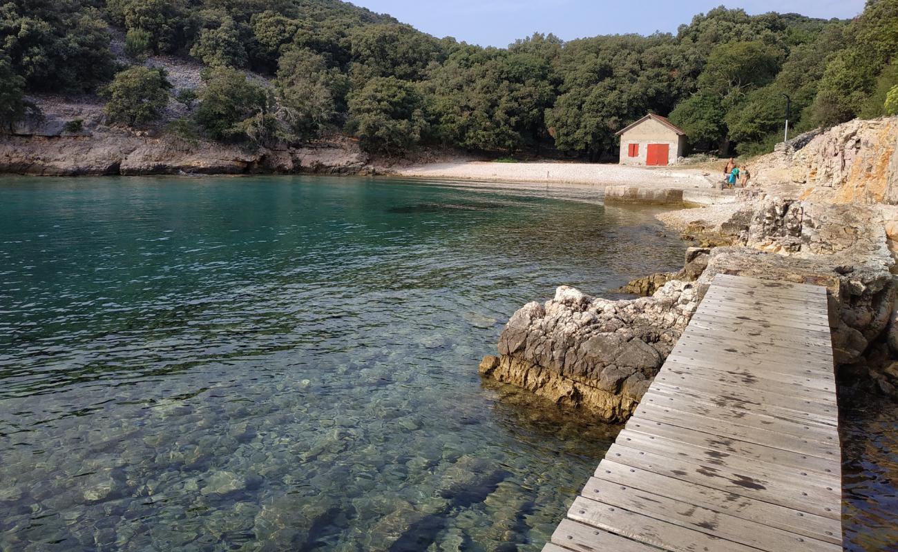 Uvala Krusija'in fotoğrafı bej çakıl yüzey ile