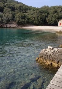 Plavnik Adası