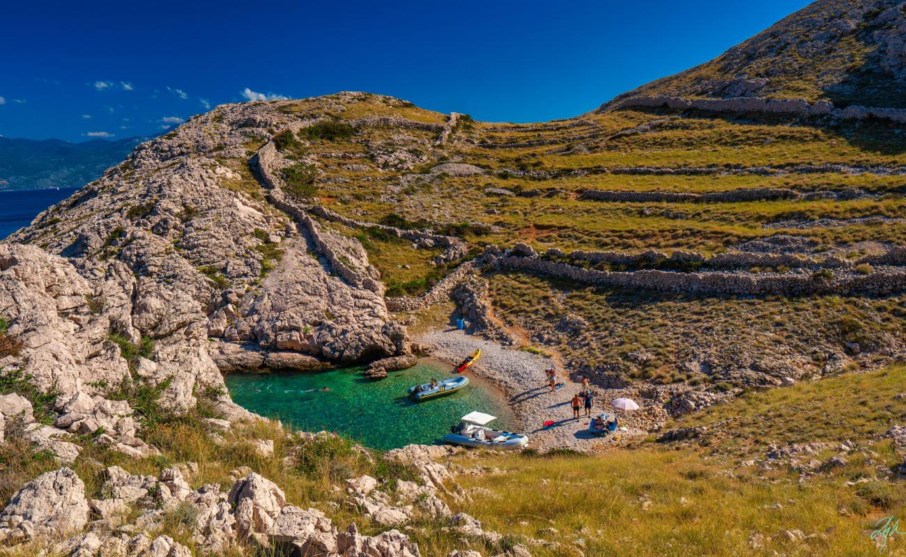 Gnjilova beach'in fotoğrafı bej çakıl yüzey ile