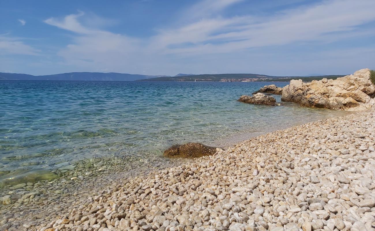 Dogs beach'in fotoğrafı hafif çakıl yüzey ile