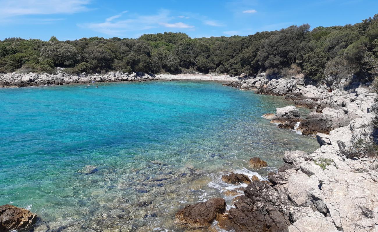 Plaz lenivej Lucie'in fotoğrafı taşlar yüzey ile