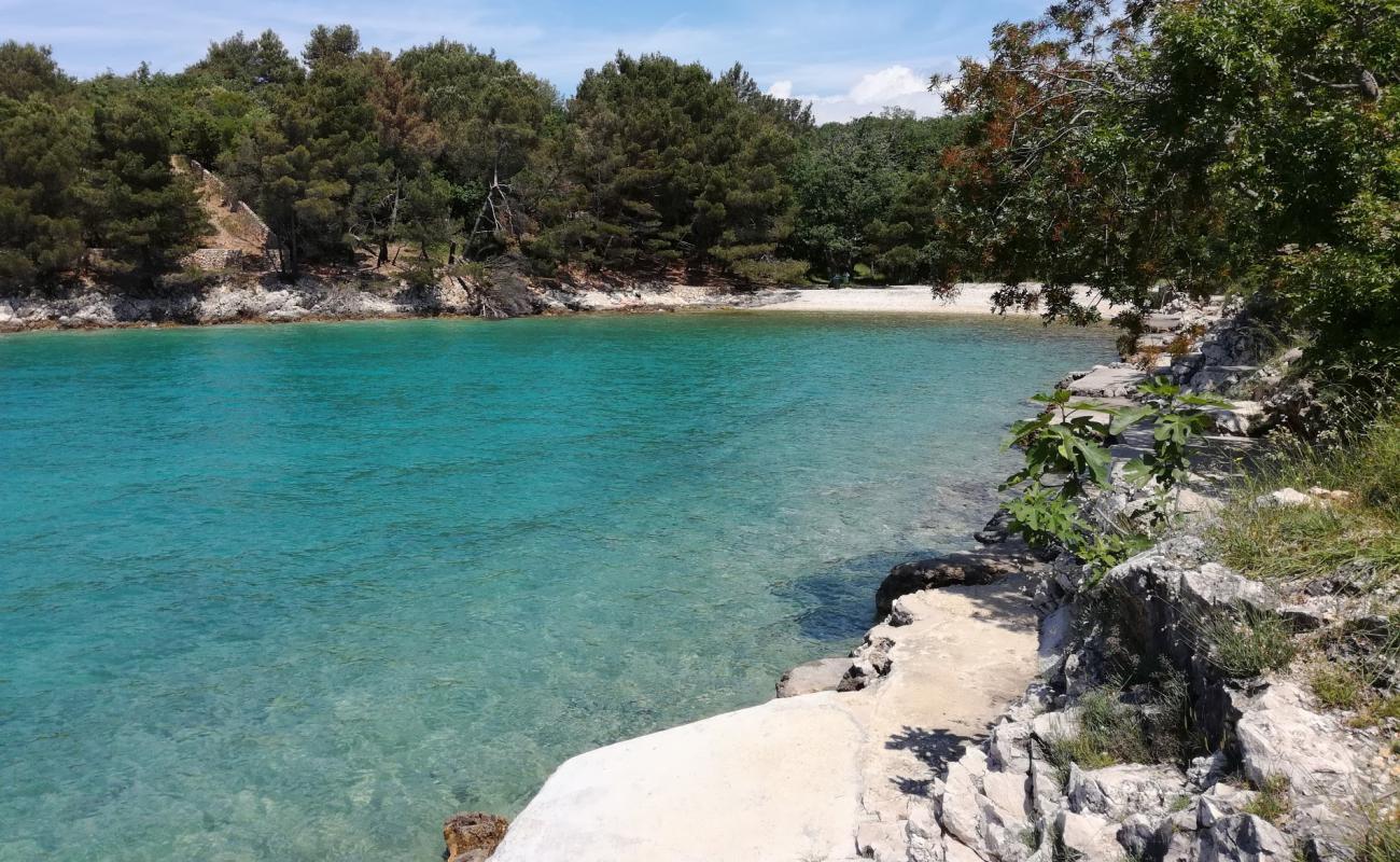 Mocca beach'in fotoğrafı hafif ince çakıl taş yüzey ile