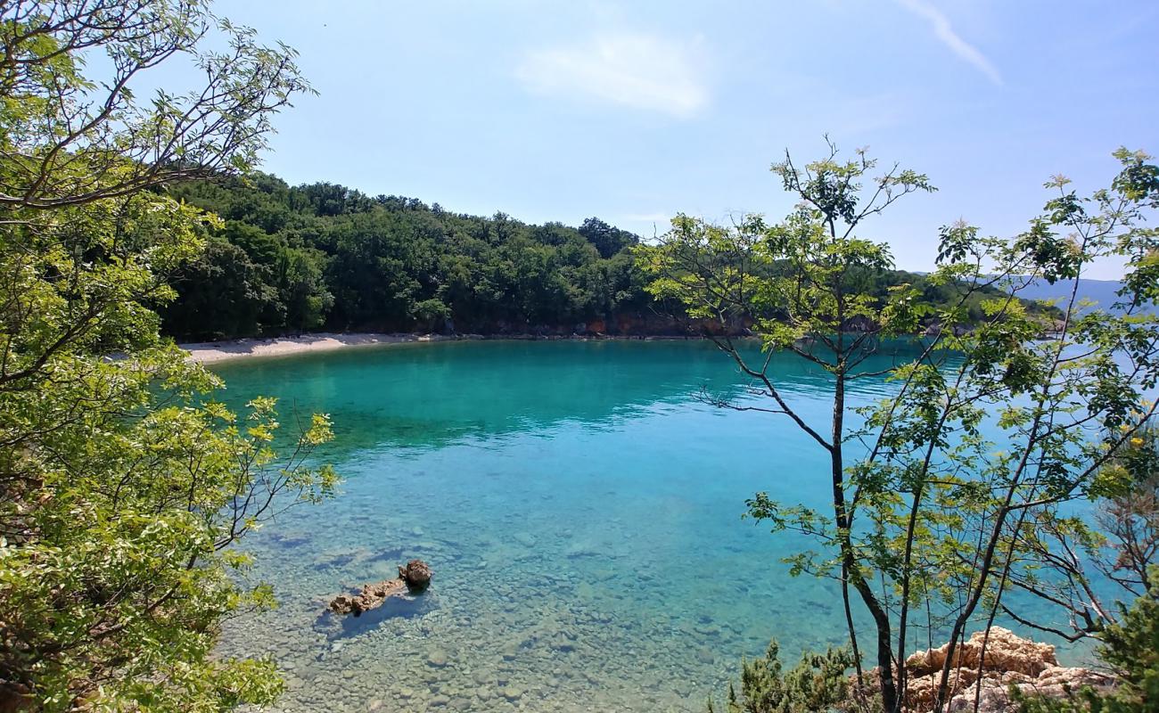 Brzac bay'in fotoğrafı hafif ince çakıl taş yüzey ile