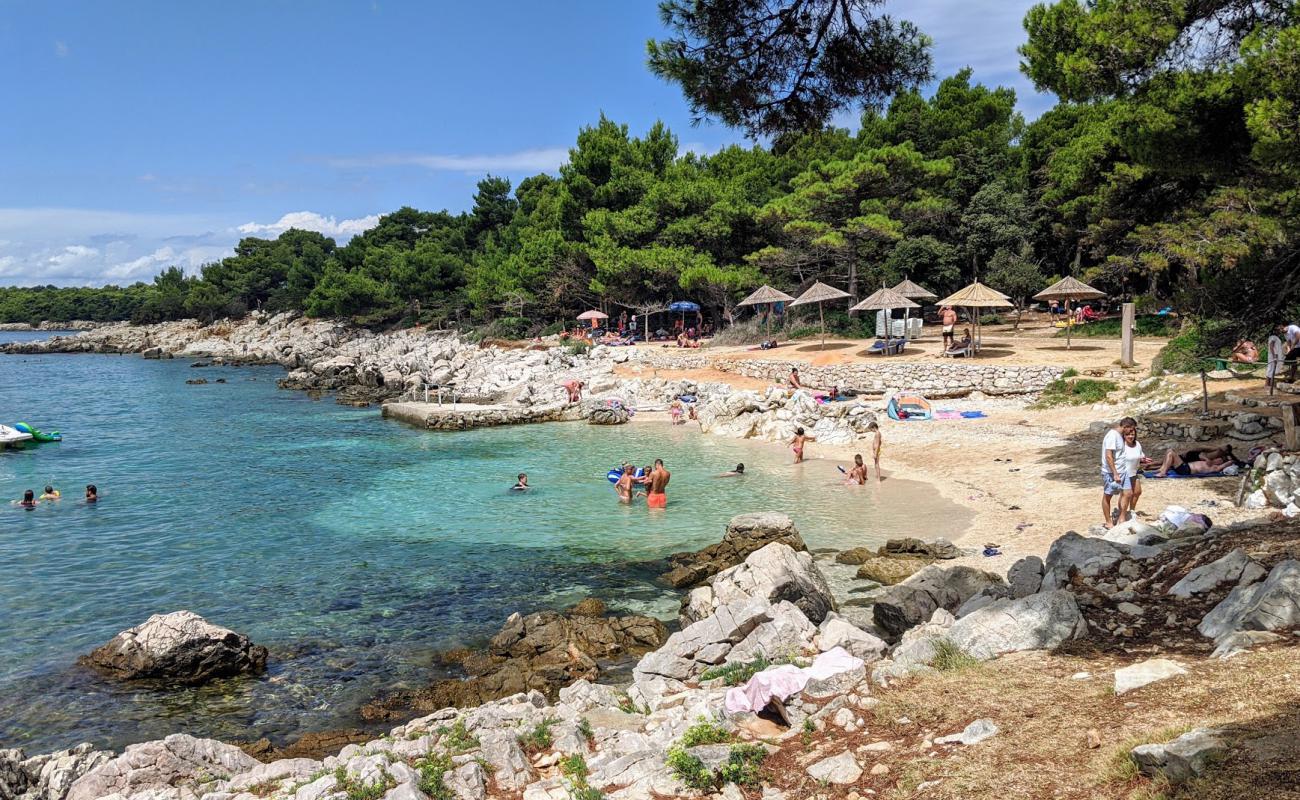 Tara beach'in fotoğrafı küçük bej çakıl yüzey ile