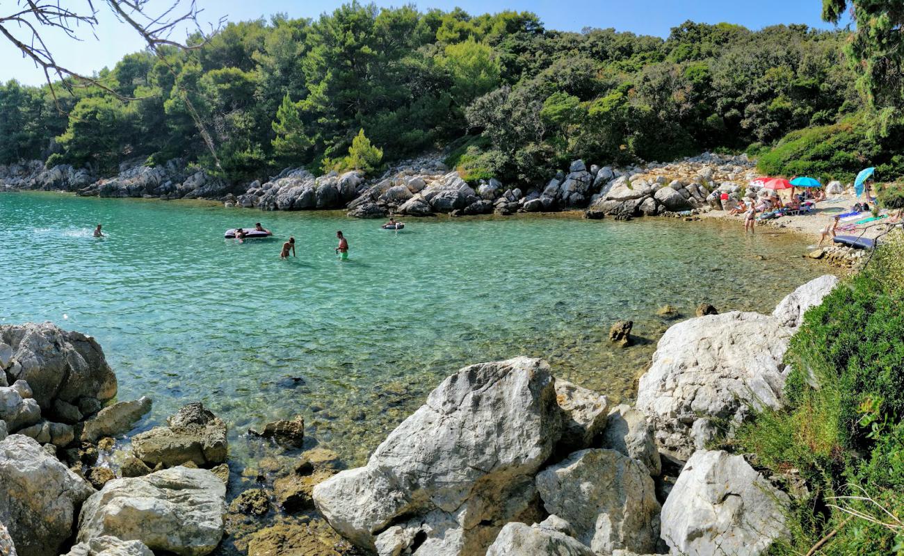 Jelenovica beach'in fotoğrafı taşlar yüzey ile