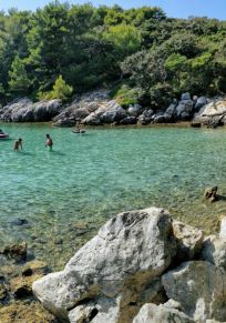 Barcici