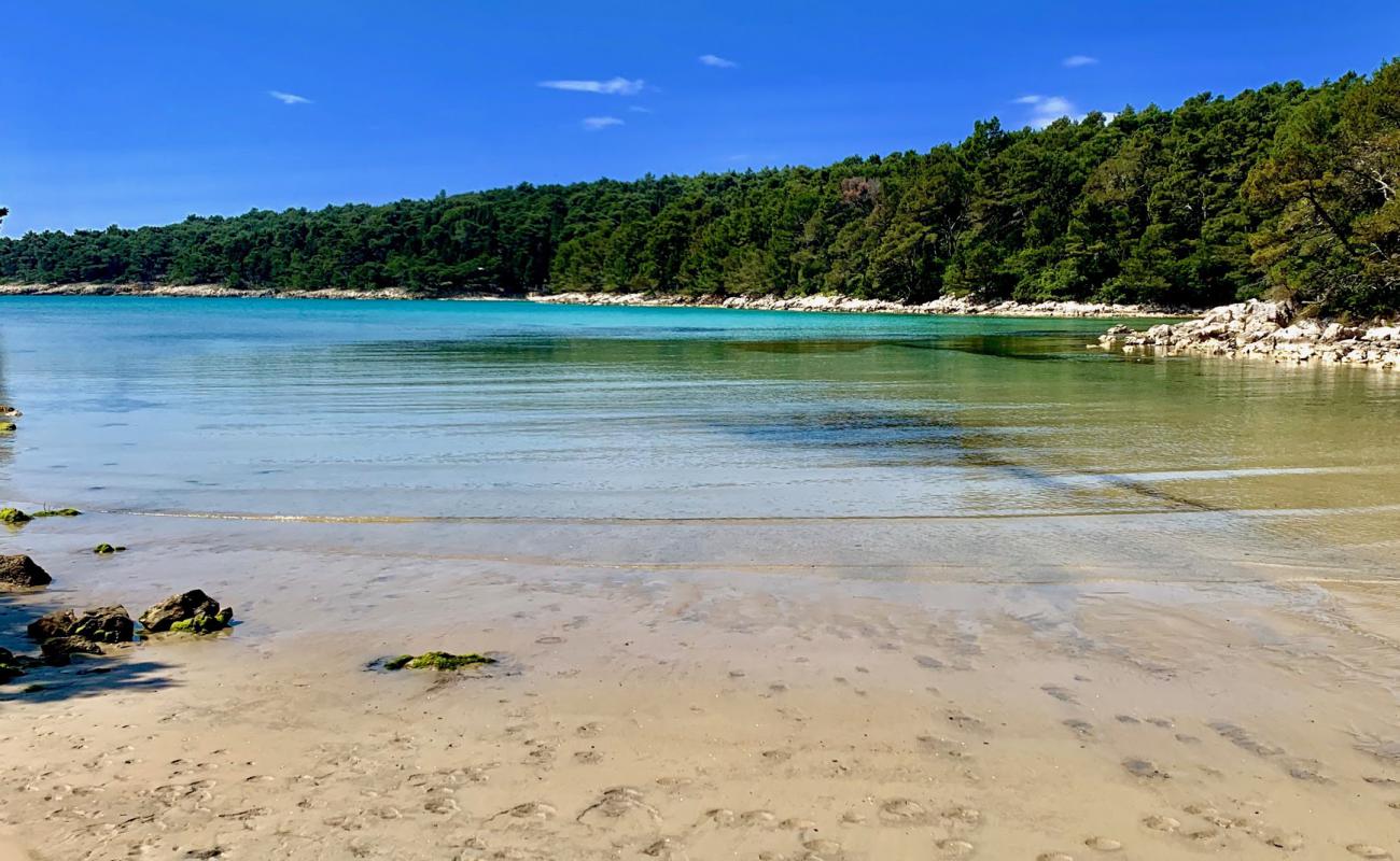 Chifnata Bay'in fotoğrafı taşlı kum yüzey ile