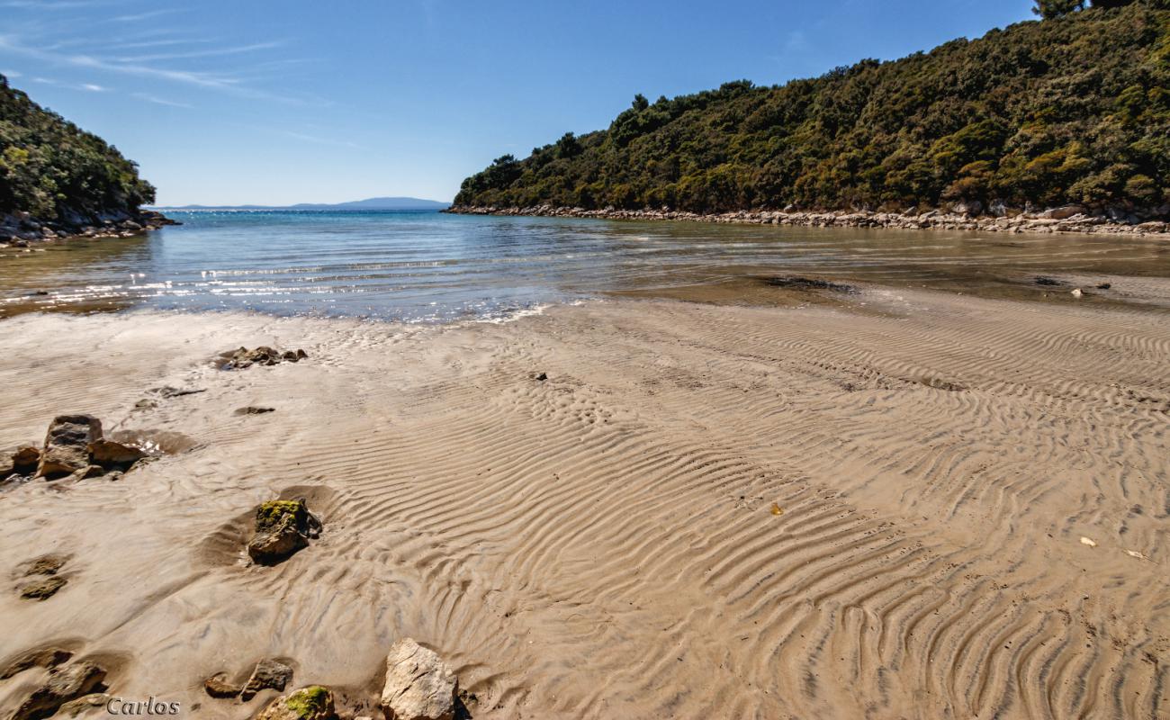 Valsika beach'in fotoğrafı taşlı kum yüzey ile