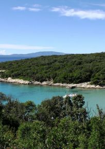 Kuparici