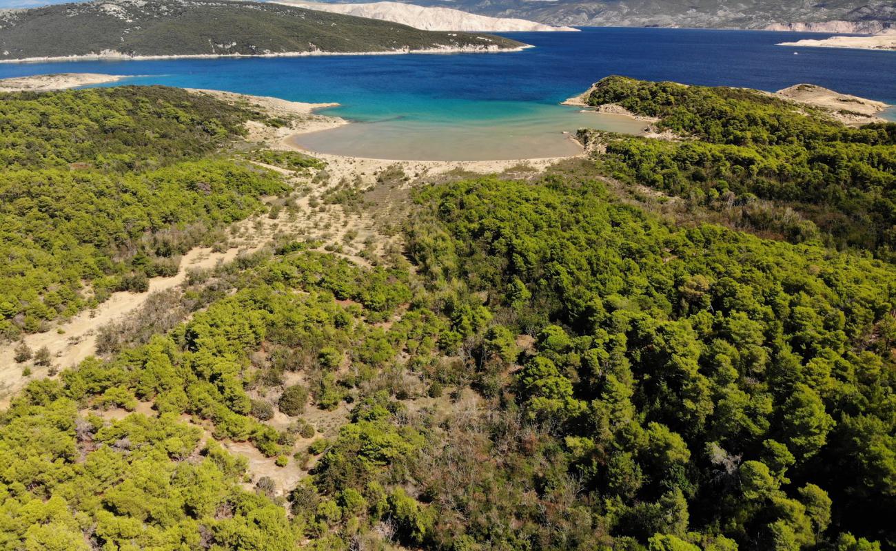 Sahara beach'in fotoğrafı parlak kum yüzey ile