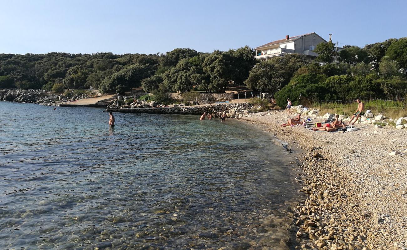 Tajana beach'in fotoğrafı hafif çakıl yüzey ile